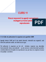 CURS 11_UPB.pdf