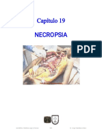 19 Necropsia-1 PDF