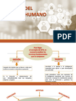 Gestion del Talento Humano