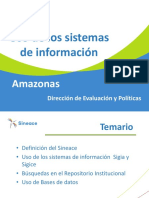 Sistemas de Información - Sineace - Amazonas