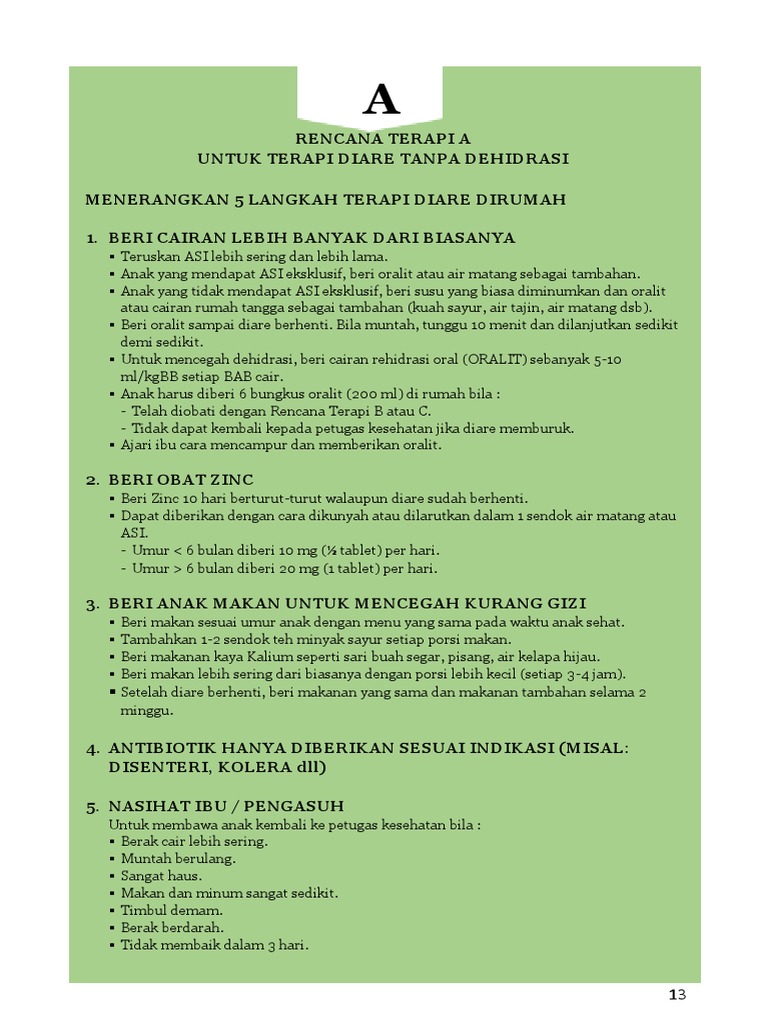 Rencana Terapi Diare Anak | PDF