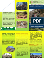 Triptico PDF