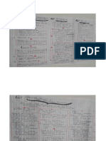 Mapa Conceptual Organizado