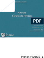 Python ArcGIS