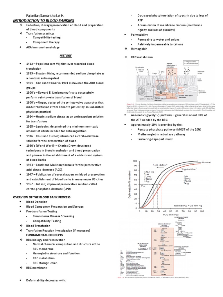 Introduction to Blood Banking Essentials | PDF | Blood Transfusion ...