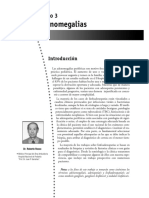 adenomegalias- PRONAP 2002.pdf