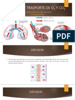 Difusion y Transporte de O2 y Co2