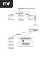 Mapa Conceptual