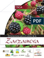 zarzamora_a5.pdf