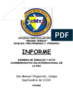 Informe Siembra de Arboles y Dia Internacional de La Paz CMT 2010