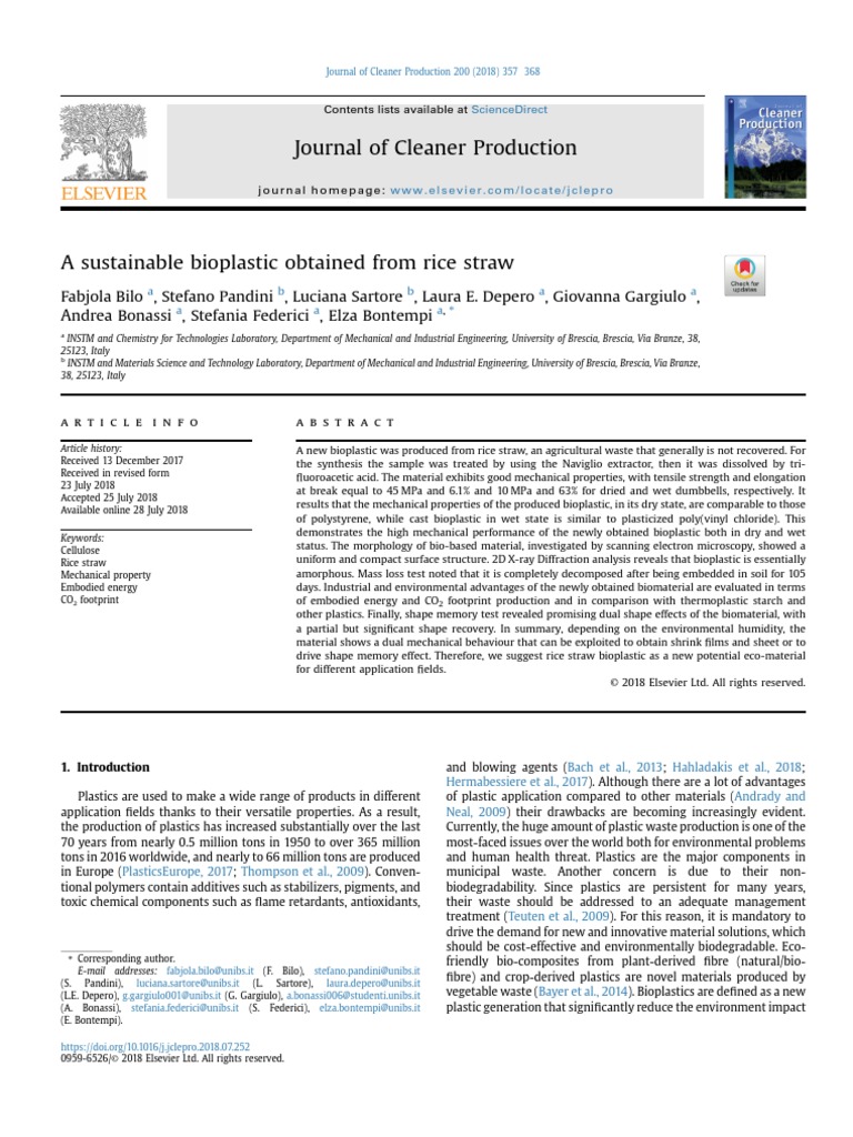 A Sustainable Bioplastic Obtained From Rice Straw | PDF ...
