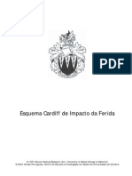 Esquema Cardiffde Impactoda Ferida