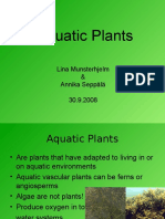 Aquatic plants (1).ppt