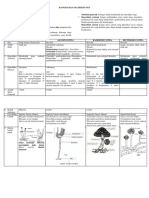 Rangkuman Materi Fungi