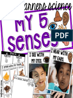 5 Senses PDF