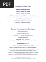 Download Modelos de Currculum Vitae by amigtuitomalo SN44482897 doc pdf