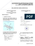 Preinforme Fuerza Hidrostática