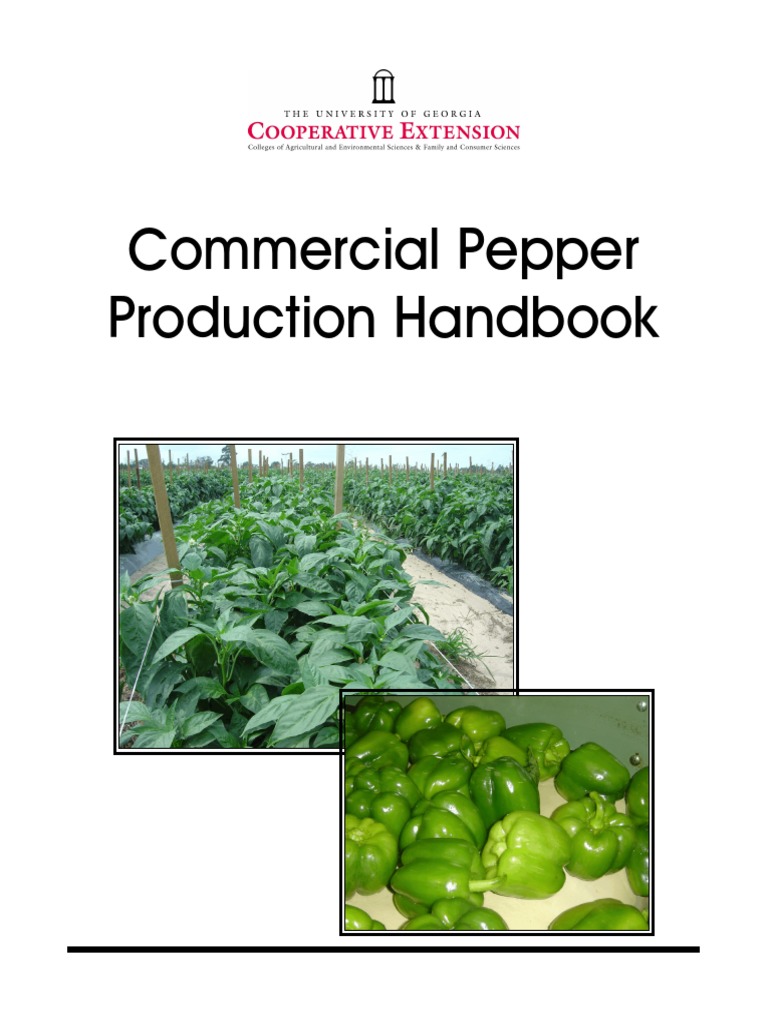 Georgia Pepper Production Guide | PDF | Chili Pepper | Tillage