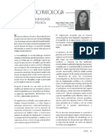 Relacion Fonoaudiologia odontoestomatologia (1).pdf
