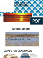 Doñana Bioqimica