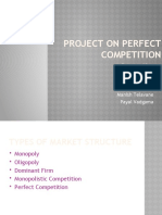 Project On Perfect Competition