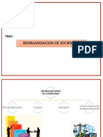 REORGANIZACIÓN DE SOCIEDADES 2.pptx