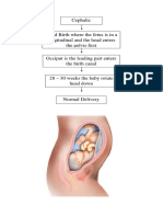 Anatomy-and-Pathophysiology-of-Baby-position