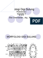 Morfologigigisulung2 110930014309 Phpapp02