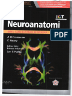 karil6.neuroanatomi-min.pdf
