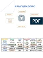 Analisis Morfologico