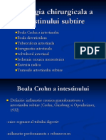 Patologia chirurgicala a intestinului subtire.ppt