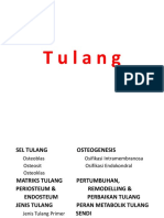 Tulang PDF