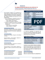 ProyectoConstruccionFlowlinesLote56 57 02012014 PDF