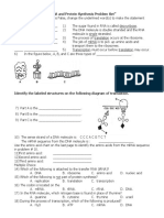 Central dogma.pdf