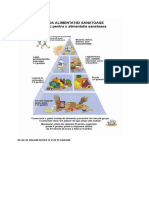 PIRAMIDA ALIMENTELOR 9 C