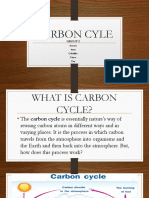 2 Carbon Cycle