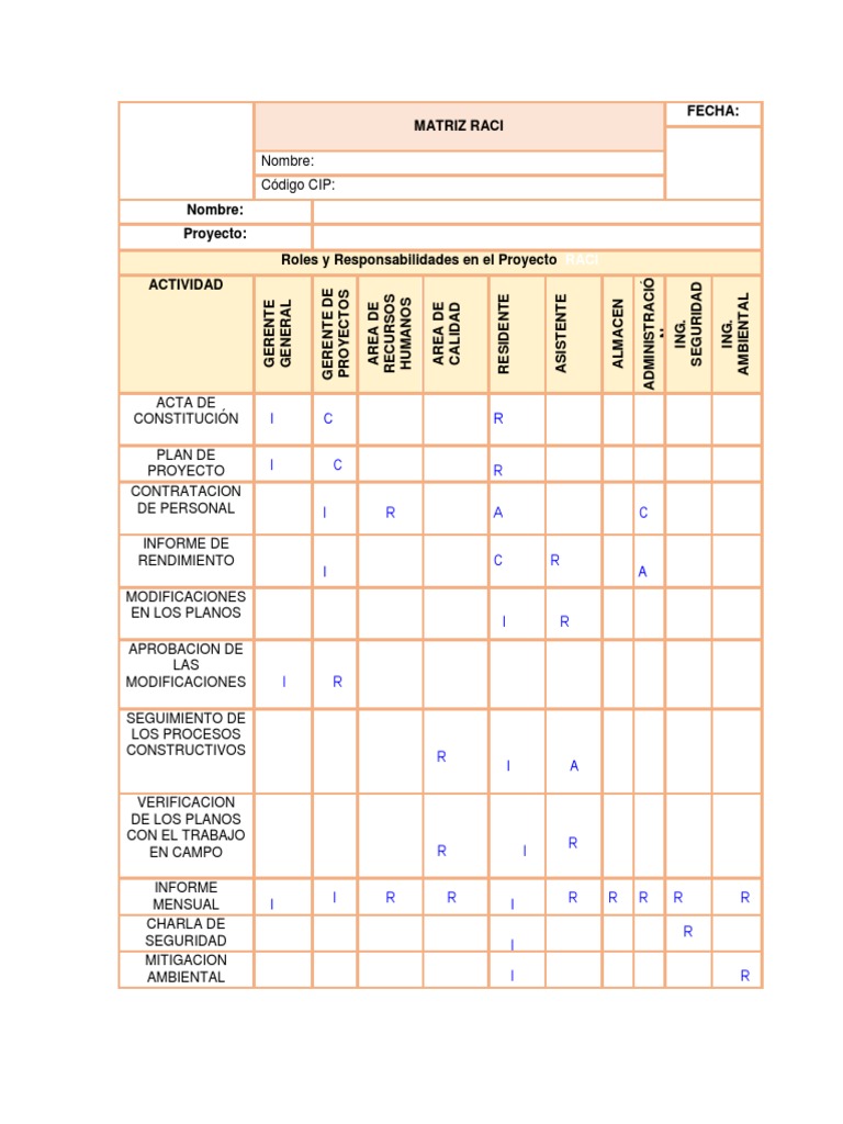 3.-MATRIZ-RACI Walter Loayza | PDF | Business