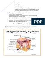 Integumentary System