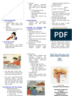 Leaflet Ispa 1doc PDF