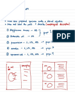 Zoology Lab Act#2 PDF