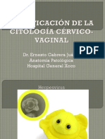 Clasific Citología Cérvico-Vaginal 2015