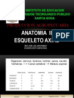 ESQUELETO AXIAL DR Jaen