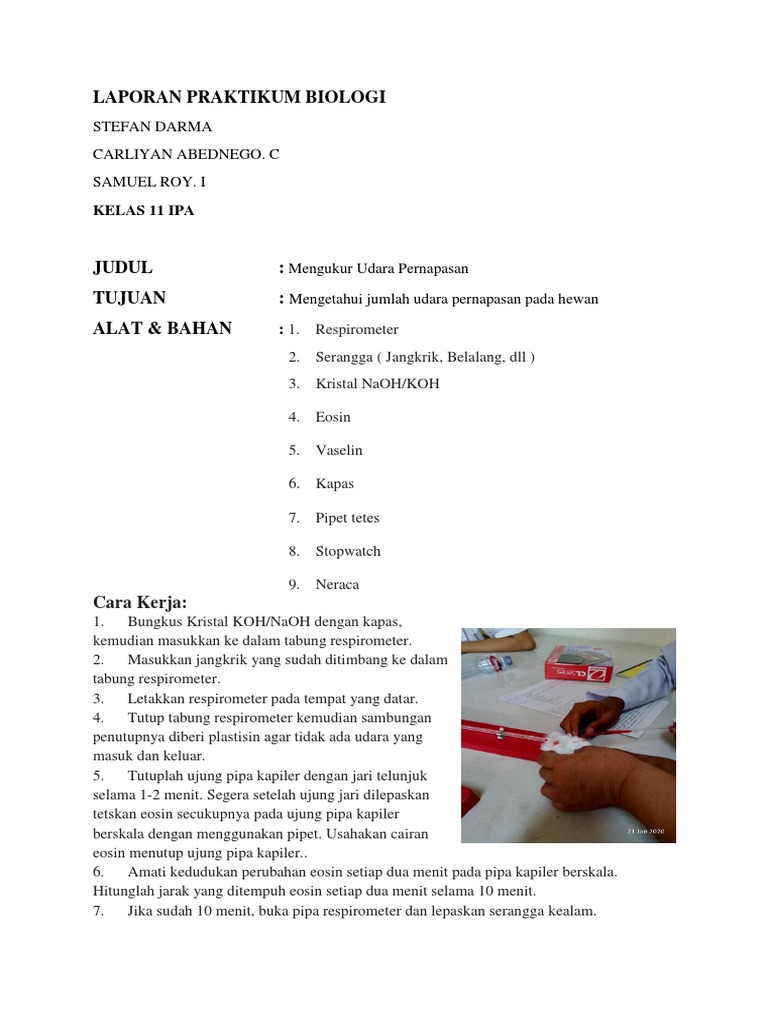 Laporan Praktikum Biologi Kapasitas Pernapasan | PDF