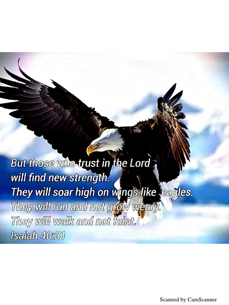 GEOTECHNICAL ENGINEERING PROBLEMS AND SOLUTIONS PDF BESAVILLA visual data 6