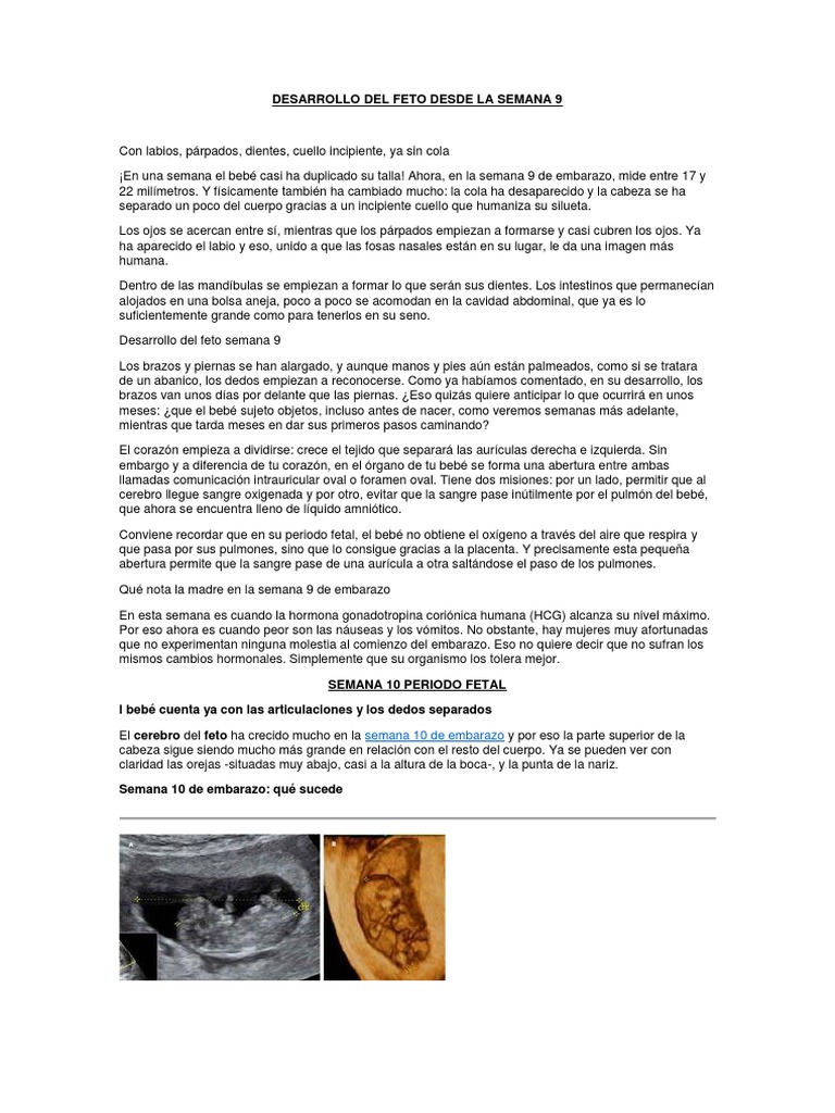 Desarrollo Del Feto Desde La Semana 9 Pdf Feto El Embarazo