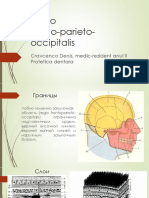 Regio fronto-parieto-occipitala.ppt