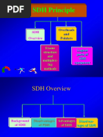 SDH Principle PDF