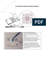 Numaratoare in Camera de Numarat PDF