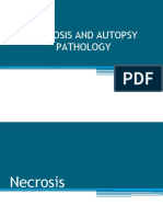 Necrosis and Autopsy Pathology