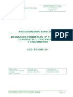 Pe-Obs-29 Desgarros Perineales PDF